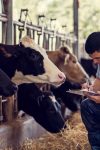 A Zootecnia e o avanço da produção animal em Rondônia