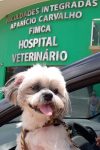 Hospital Veterinário do Centro Universitário Aparício Carvalho – FIMCA...