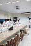 Curso de Montagem de Insetos