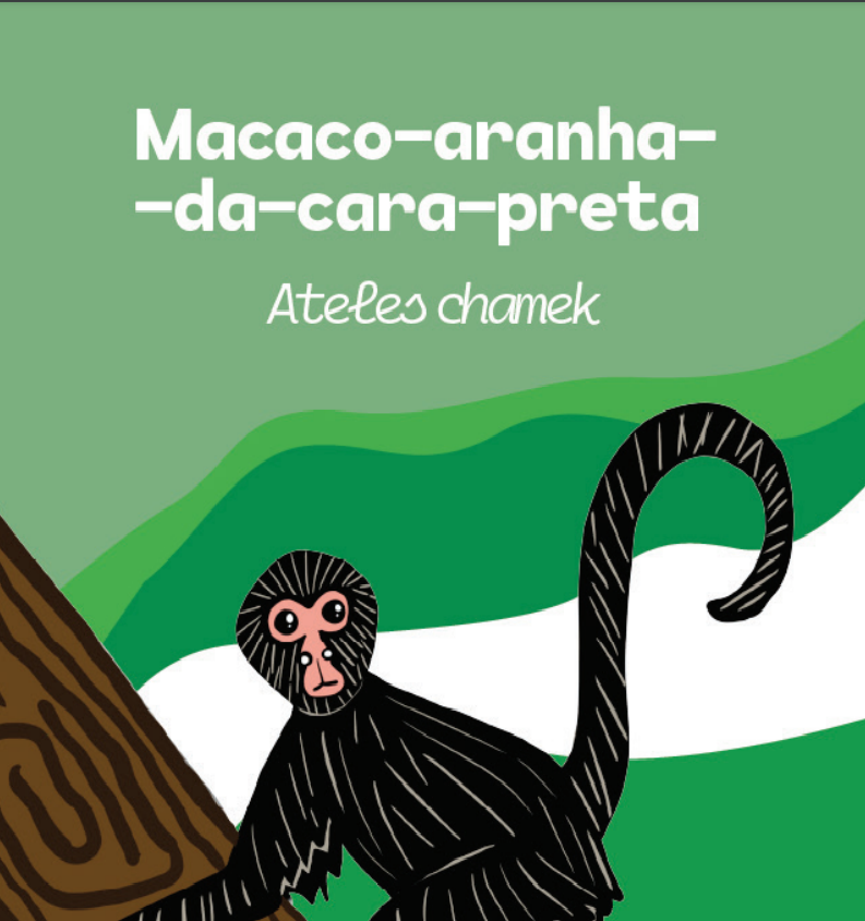 Macaco-aranha png