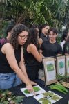 Curso de Farmácia promove amostra com o tema “Raízes do Saber:...